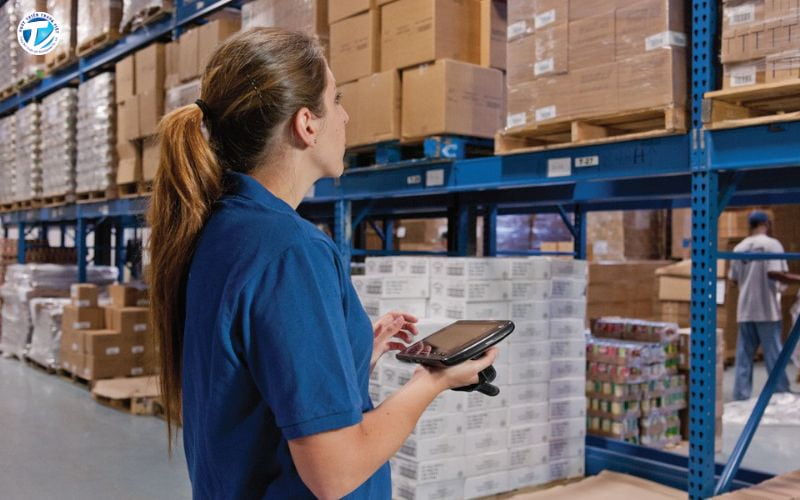 Nhu cầu tuyển dụng thực tập sinh logistics ngày càng phổ biến